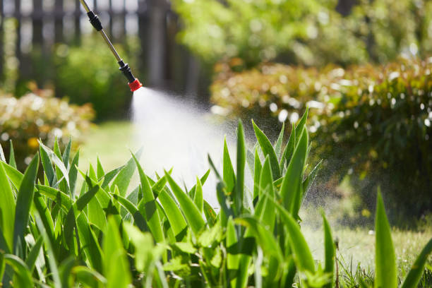 24/7 Emergency Mosquito Control experts in Hokes Bluff, AL